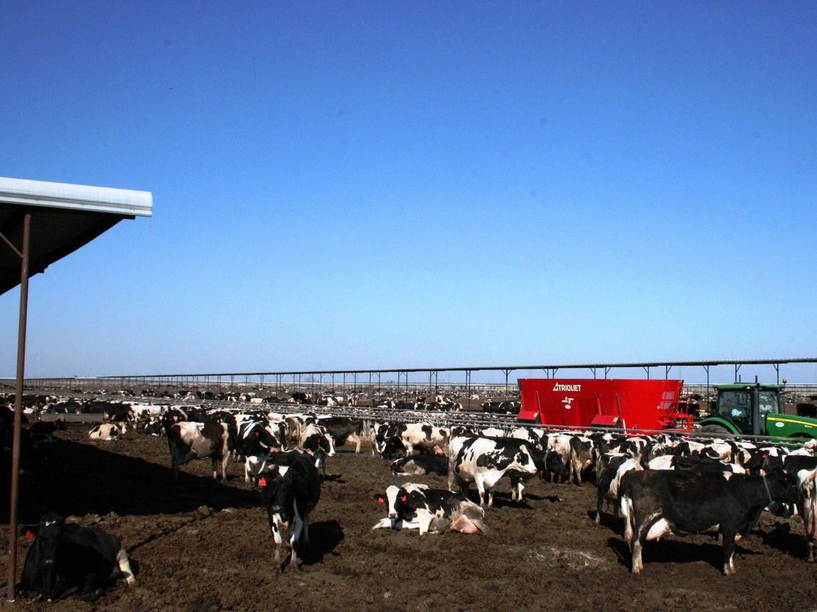 carro mezclador de alimentación vertical agricolas